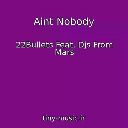کاور آهنگ Aint Nobody از 22Bullets Feat. Djs From Mars
