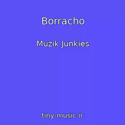 کاور آهنگ Borracho از Muzik Junkies