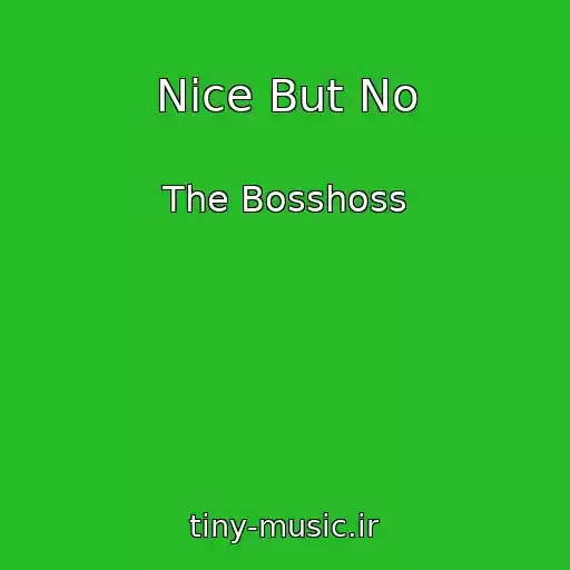 کاور آهنگ Nice But No از The Bosshoss