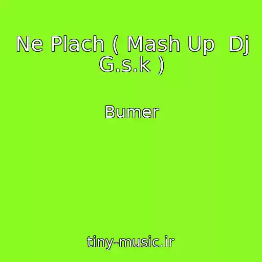 کاور آهنگ Ne Plach ( Mash Up  Dj G.s.k ) از Bumer