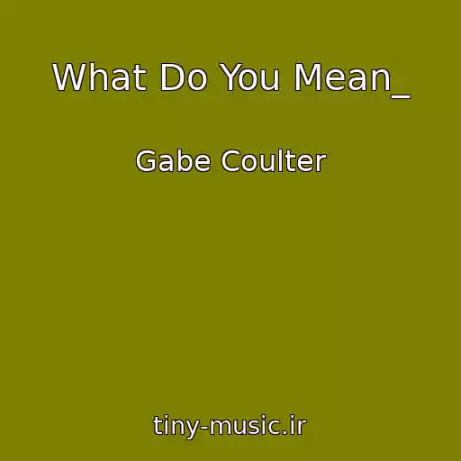 کاور آهنگ What Do You Mean_ از Gabe Coulter