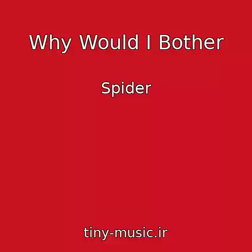 کاور آهنگ Why Would I Bother از Spider