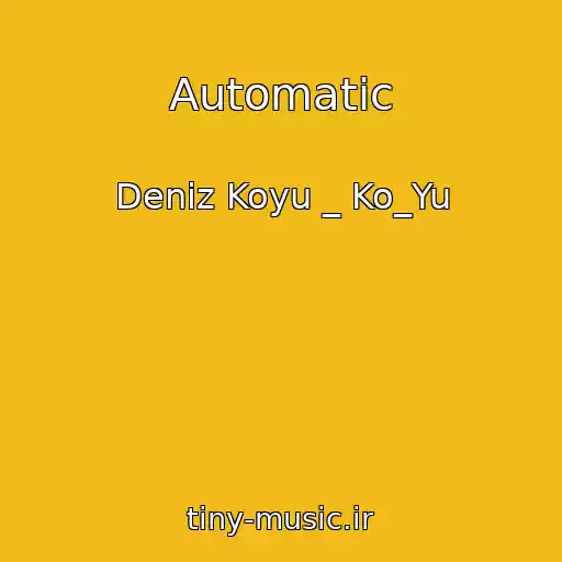 کاور آهنگ Automatic از Deniz Koyu _ Ko_Yu
