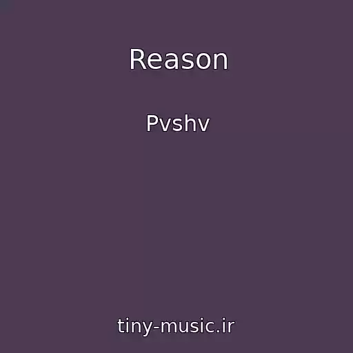 کاور آهنگ Reason از Pvshv