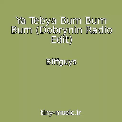 کاور آهنگ Ya Tebya Bum Bum Bum (Dobrynin Radio Edit) از Biffguys