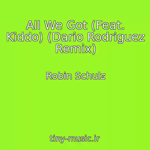 کاور آهنگ All We Got (Feat. Kiddo) (Dario Rodriguez Remix) از Robin Schulz