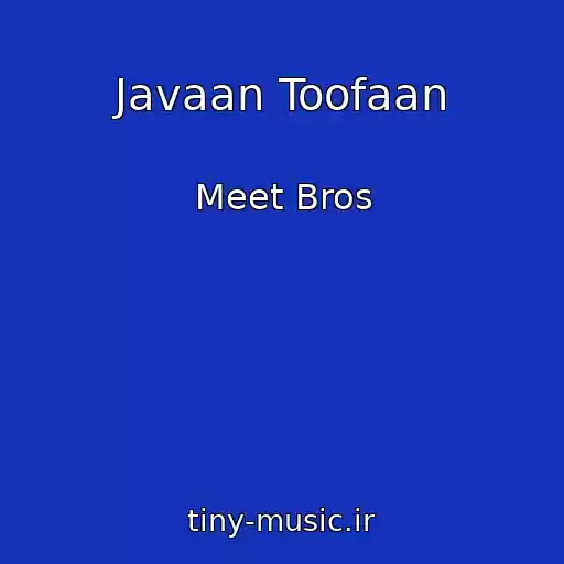 کاور آهنگ Javaan Toofaan از Meet Bros