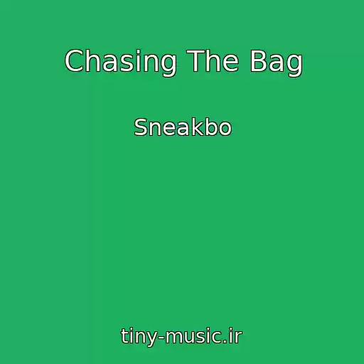 کاور آهنگ Chasing The Bag از Sneakbo