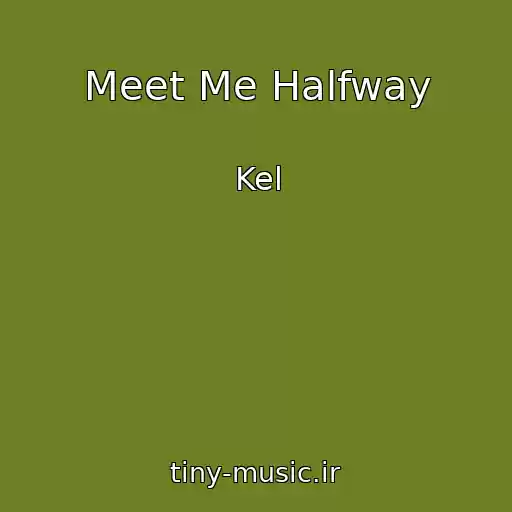 کاور آهنگ Meet Me Halfway از Kel