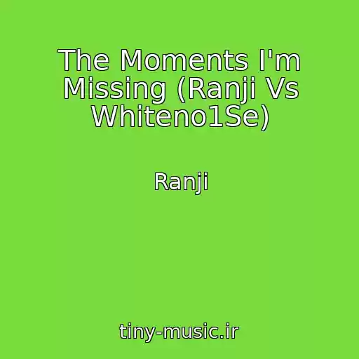 کاور آهنگ The Moments I'm Missing (Ranji Vs Whiteno1Se) از Ranji