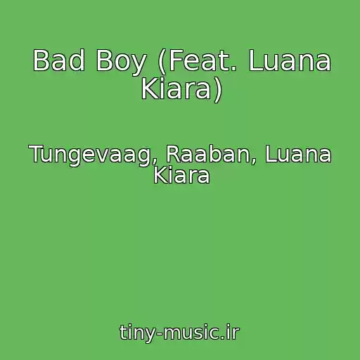 کاور آهنگ Bad Boy (Feat. Luana Kiara) از Tungevaag, Raaban, Luana Kiara