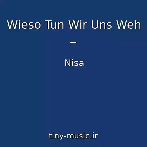 کاور آهنگ Wieso Tun Wir Uns Weh _ از Nisa