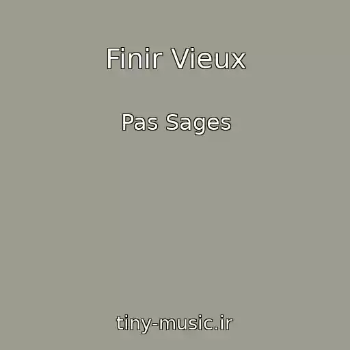 کاور آهنگ Finir Vieux از Pas Sages