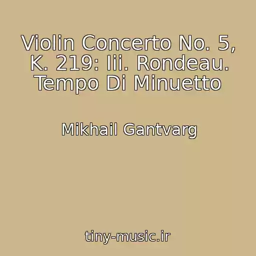 کاور آهنگ Violin Concerto No. 5, K. 219: Iii. Rondeau. Tempo Di Minuetto از Mikhail Gantvarg