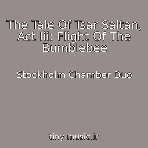 کاور آهنگ The Tale Of Tsar Saltan, Act Iii: Flight Of The Bumblebee از Stockholm Chamber Duo