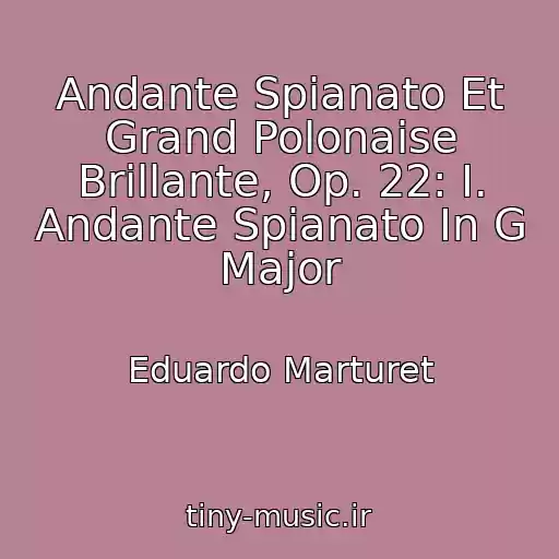 کاور آهنگ Andante Spianato Et Grand Polonaise Brillante, Op. 22: I. Andante Spianato In G Major از Eduardo Marturet