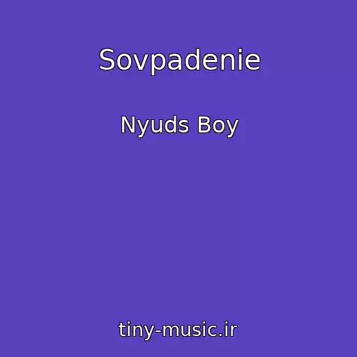 کاور آهنگ Sovpadenie از Nyuds Boy