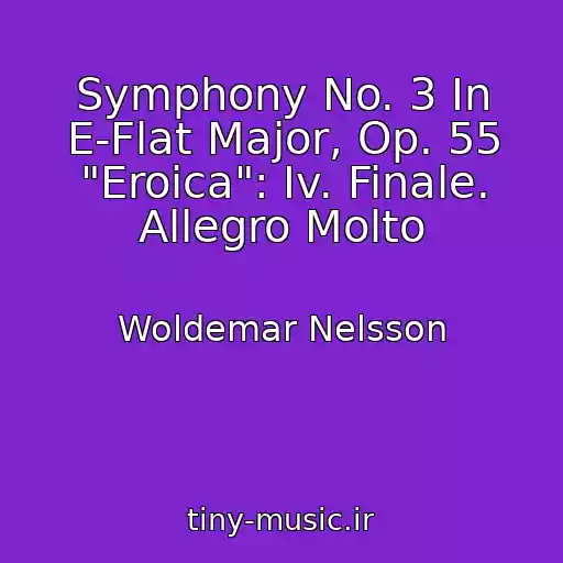 کاور آهنگ Symphony No. 3 In E-Flat Major, Op. 55 "Eroica": Iv. Finale. Allegro Molto از Woldemar Nelsson