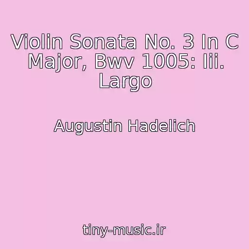 کاور آهنگ Violin Sonata No. 3 In C Major, Bwv 1005: Iii. Largo از Augustin Hadelich