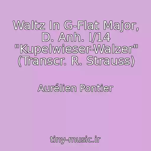 کاور آهنگ Waltz In G-Flat Major, D. Anh. I/14 "Kupelwieser-Walzer" (Transcr. R. Strauss) از Aurélien Pontier