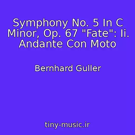 کاور آهنگ Symphony No. 5 In C Minor, Op. 67 "Fate": Ii. Andante Con Moto از Bernhard Guller