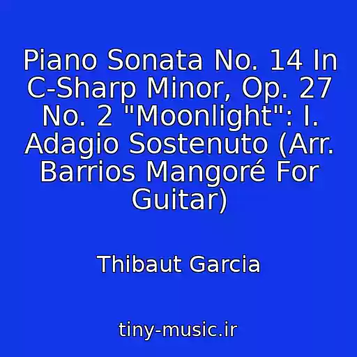 کاور آهنگ Piano Sonata No. 14 In C-Sharp Minor, Op. 27 No. 2 "Moonlight": I. Adagio Sostenuto (Arr. Barrios Mangoré For Guitar) از Thibaut Garcia