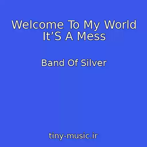 کاور آهنگ Welcome To My World It’S A Mess از Band Of Silver