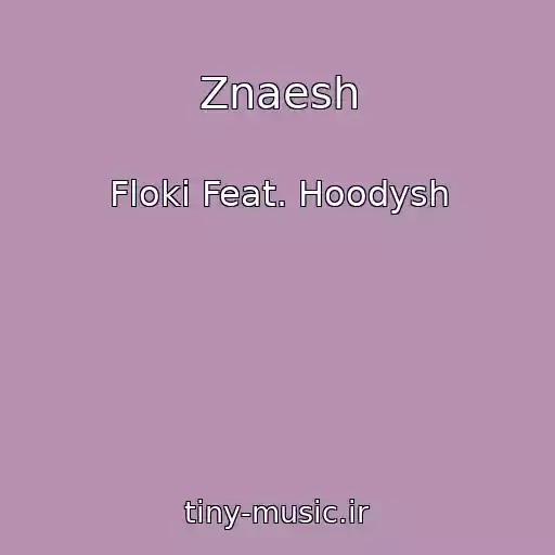 کاور آهنگ Znaesh از Floki Feat. Hoodysh