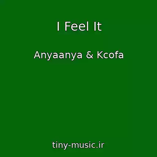 کاور آهنگ I Feel It از Anyaanya & Kcofa