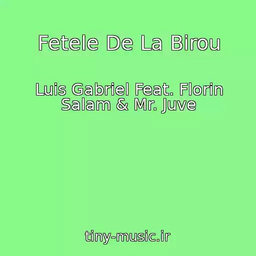 کاور آهنگ Fetele De La Birou از Luis Gabriel Feat. Florin Salam & Mr. Juve