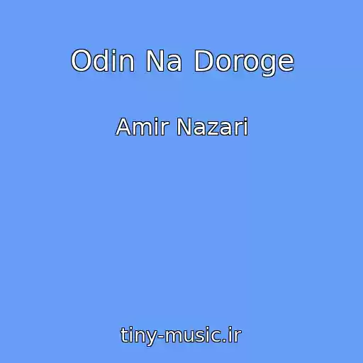 کاور آهنگ Odin Na Doroge از Amir Nazari