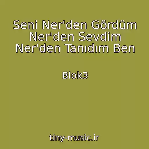 کاور آهنگ Seni Ner'den Gördüm Ner'den Sevdim Ner'den Tanıdım Ben از Blok3