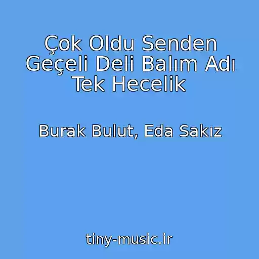 کاور آهنگ Çok Oldu Senden Geçeli Deli Balım Adı Tek Hecelik از Burak Bulut, Eda Sakız