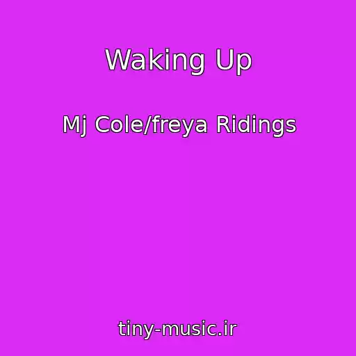 کاور آهنگ Waking Up از Mj Cole/freya Ridings