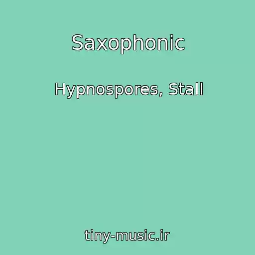 کاور آهنگ Saxophonic از Hypnospores, Stall