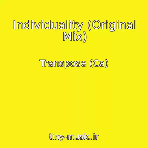 کاور آهنگ Individuality (Original Mix) از Transpose (Ca)