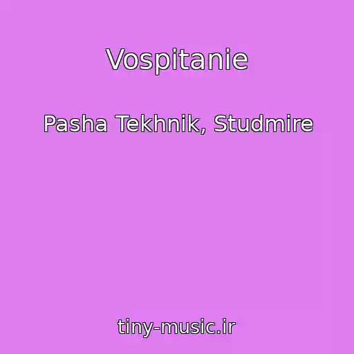 کاور آهنگ Vospitanie از Pasha Tekhnik, Studmire