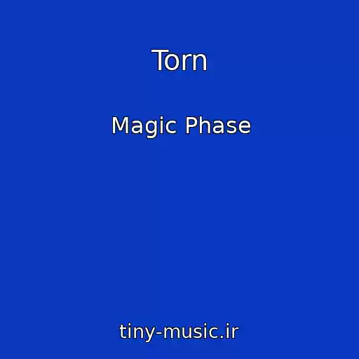 کاور آهنگ Torn از Magic Phase