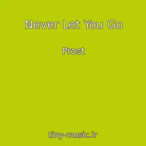 کاور آهنگ Never Let You Go از Prost