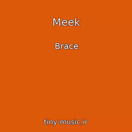 کاور آهنگ Meek از Brace