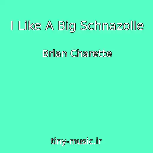 کاور آهنگ I Like A Big Schnazolle از Brian Charette