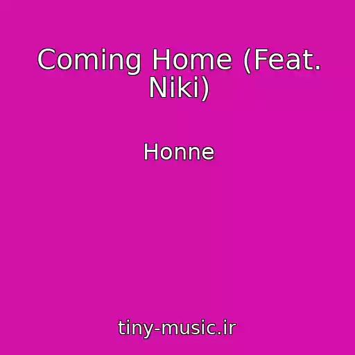 کاور آهنگ Coming Home (Feat. Niki) از Honne
