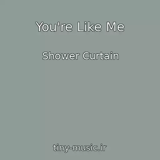 کاور آهنگ You're Like Me از Shower Curtain