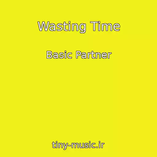کاور آهنگ Wasting Time از Basic Partner