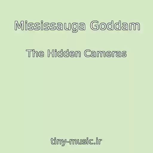 کاور آهنگ Mississauga Goddam از The Hidden Cameras