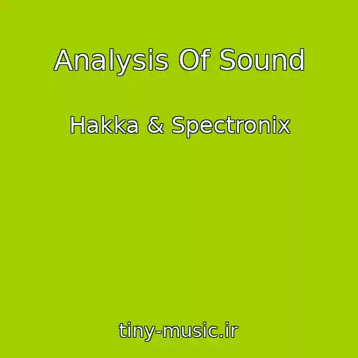 کاور آهنگ Analysis Of Sound از Hakka & Spectronix