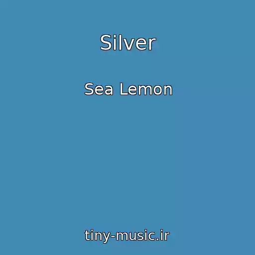 کاور آهنگ Silver از Sea Lemon