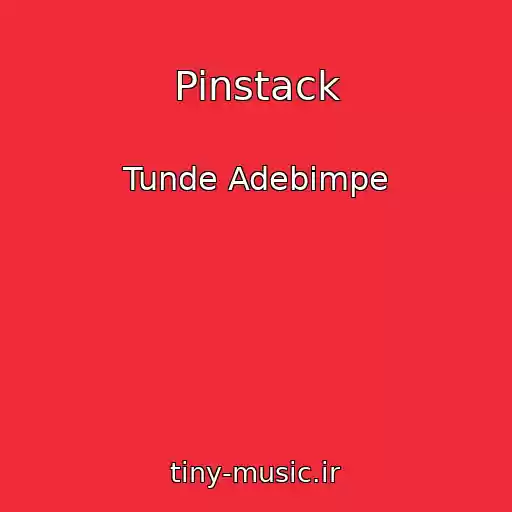 کاور آهنگ Pinstack از Tunde Adebimpe