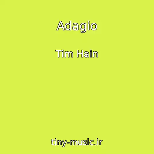 کاور آهنگ Adagio از Tim Hain