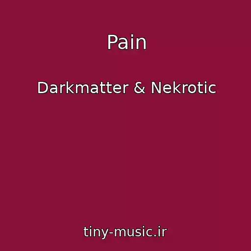 کاور آهنگ Pain از Darkmatter & Nekrotic